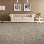 Soft comfortable carpet | Carpet Barn