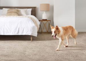 Pet friendly carpet flooring | Carpet Barn