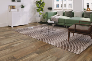 Area rug in living room | Carpet Barn