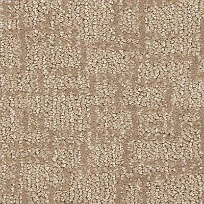 Champagne Carpet Swatch | Carpet Barn