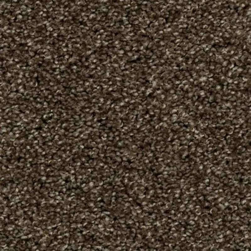 Husk Carpet Swatch | Carpet Barn