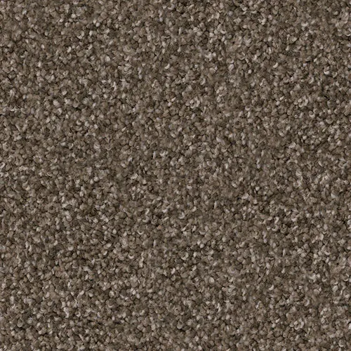 Pinscher-1 Carpet Swatch | Carpet Barn