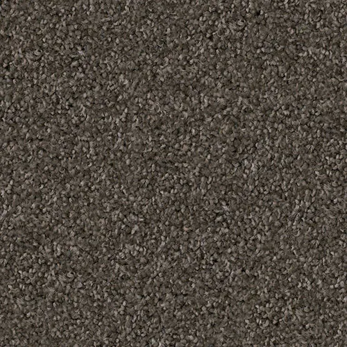 Schnauzer Carpet Swatch | Carpet Barn