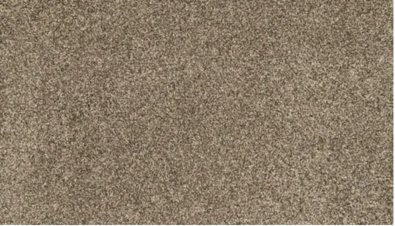 Stone-Canyon Carpet Swatch | Carpet Barn