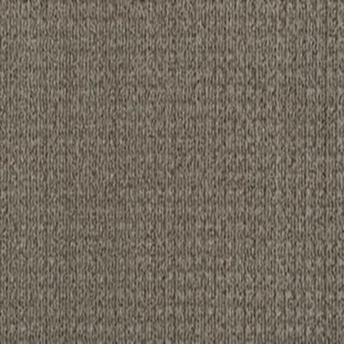acorn-trail Carpet Swatch | Carpet Barn