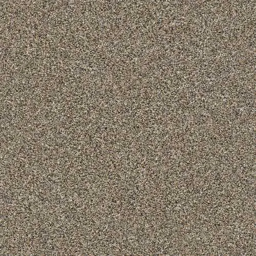goldrush Carpet Swatch | Carpet Barn