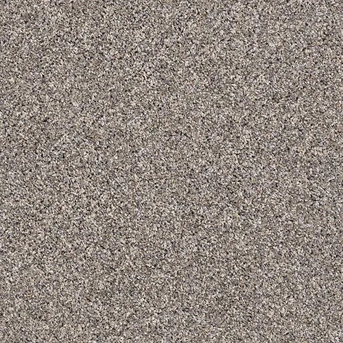sharkfin-1 Carpet Swatch | Carpet Barn