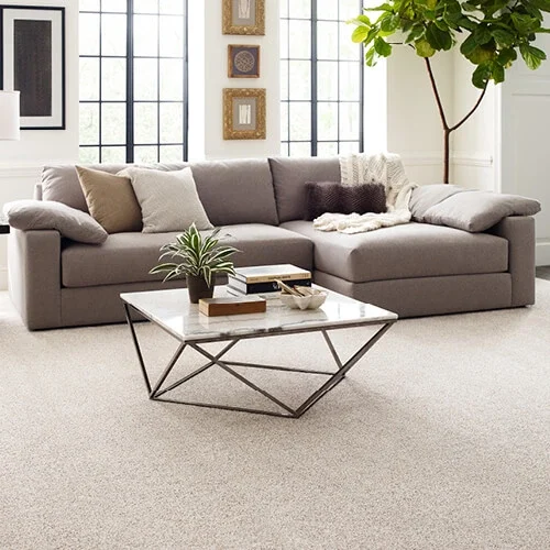 FindYourComfortAccent EA822 00193 NewPerspective LIVINGROOM H | World Famous Carpet Barn