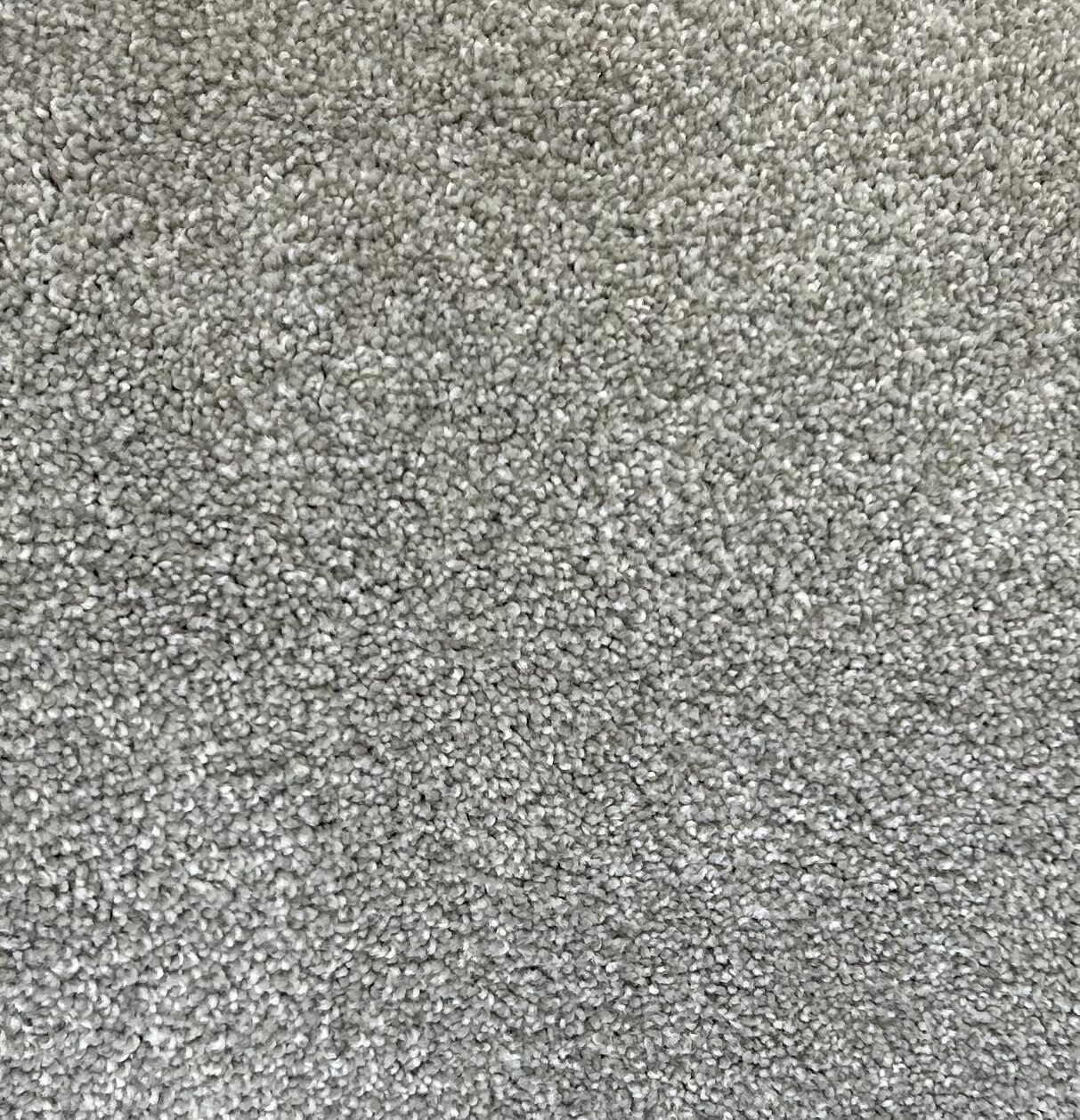 Shaw NFA 65 Stainless carpet