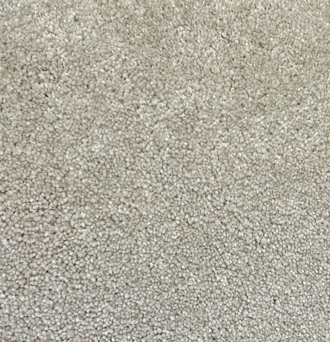Shaw NFA 65 Buff carpet