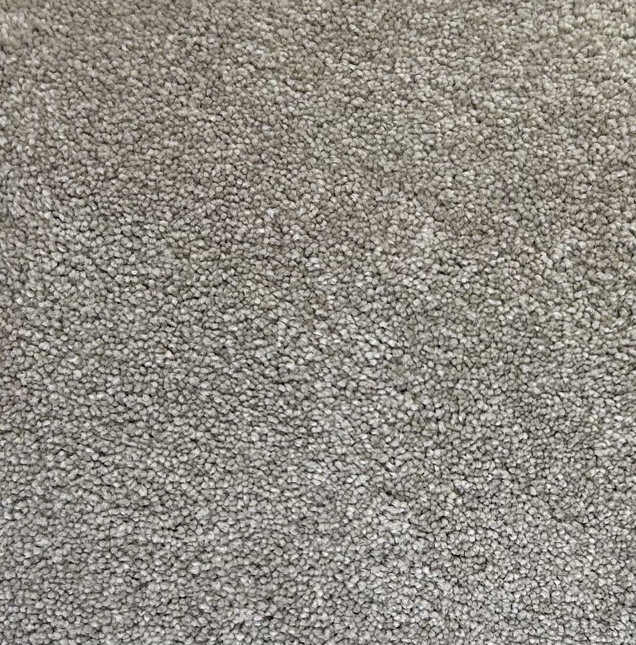 Shaw NFA 65 Cappuccino carpet