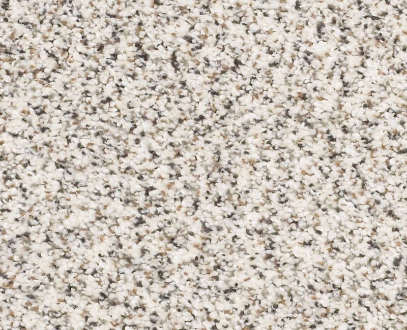 Shaw Color Express Accent I Avalanche carpet